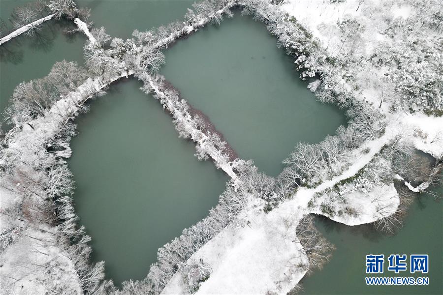 杭州：雪绘西溪