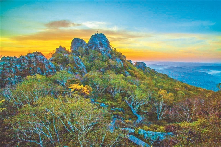 多彩双鸭山全域旅游百花开