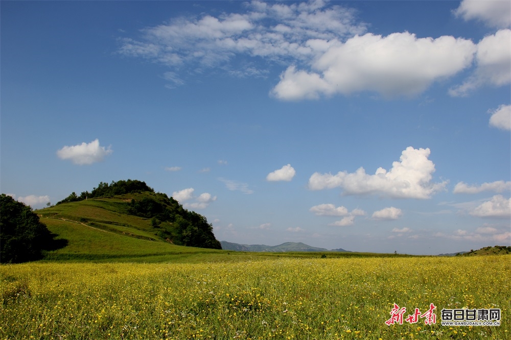 【陇南】礼县龙林镇水坪草原的夏日之美_fororder_3