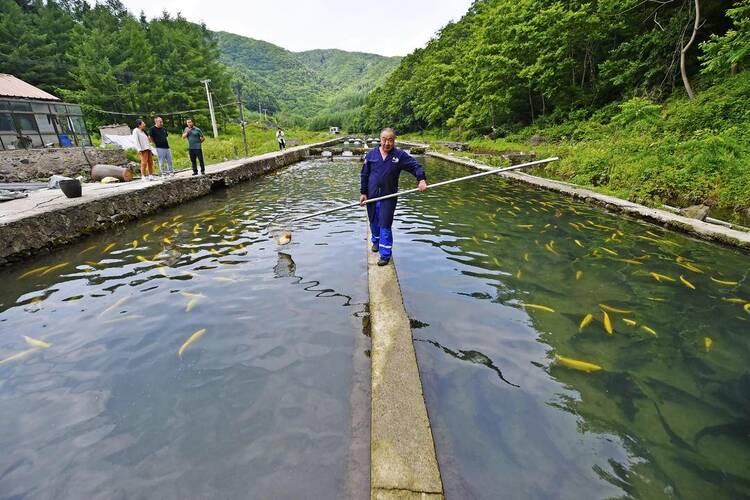 生态养殖养“活”本溪冷水鱼