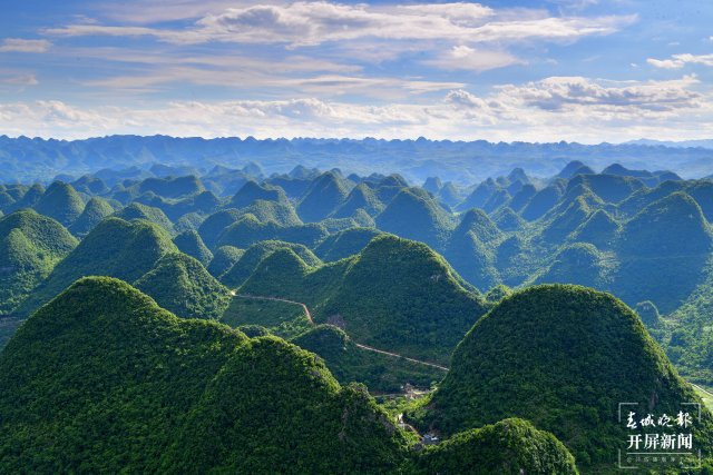 云南罗平岩溶大地上的生物多样性之美