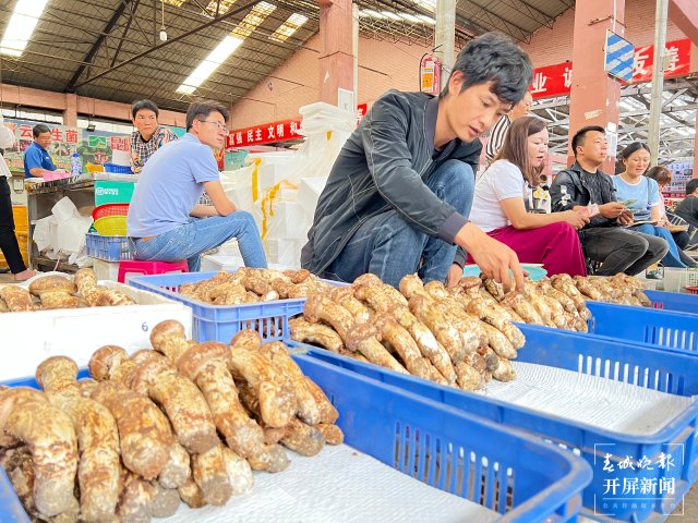 云南木水花交易中心：每天上市150吨野生菌