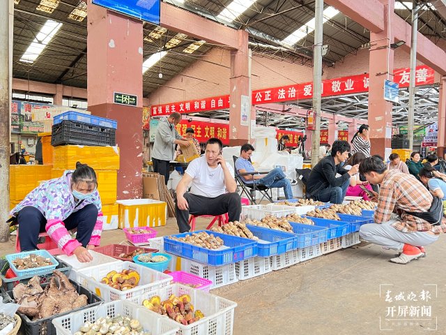 云南木水花交易中心：每天上市150吨野生菌