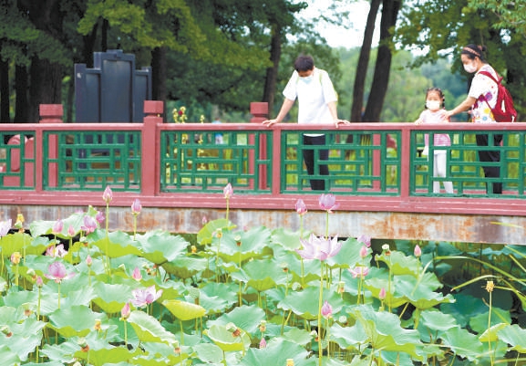 圆明园第二十七届荷花节开幕