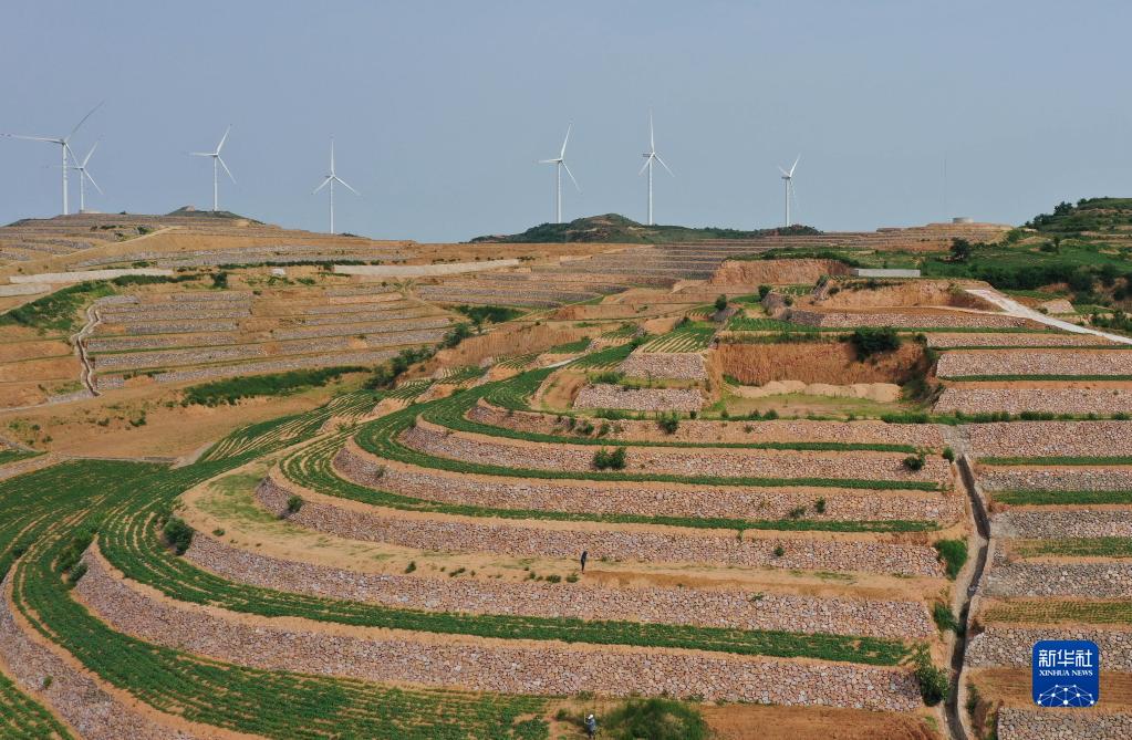 河北卢龙实施土地整治 让坡地和荒地变成良田