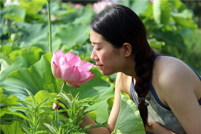 南阳镇平：荷花开 游客来_fororder_人面荷花相映红.JPG