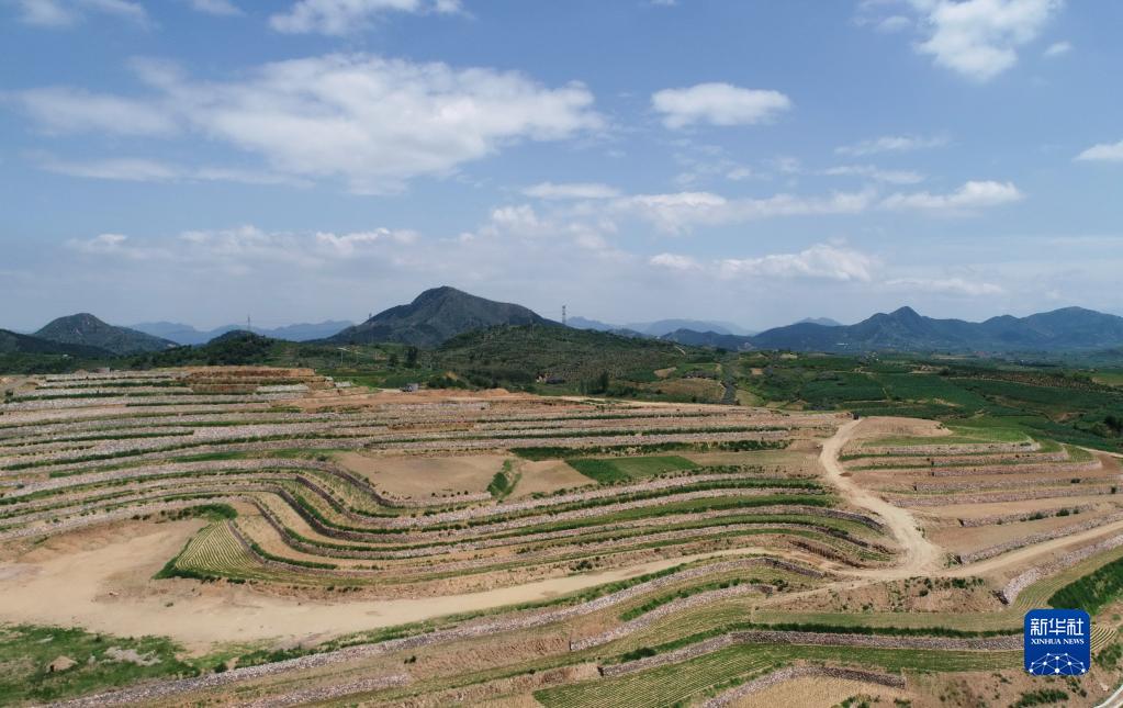 河北卢龙实施土地整治 让坡地和荒地变成良田