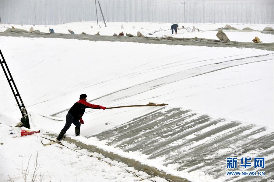 山东多地迎来大面积降雪