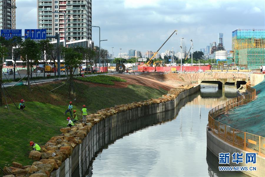 建设生态融合“前海水城”