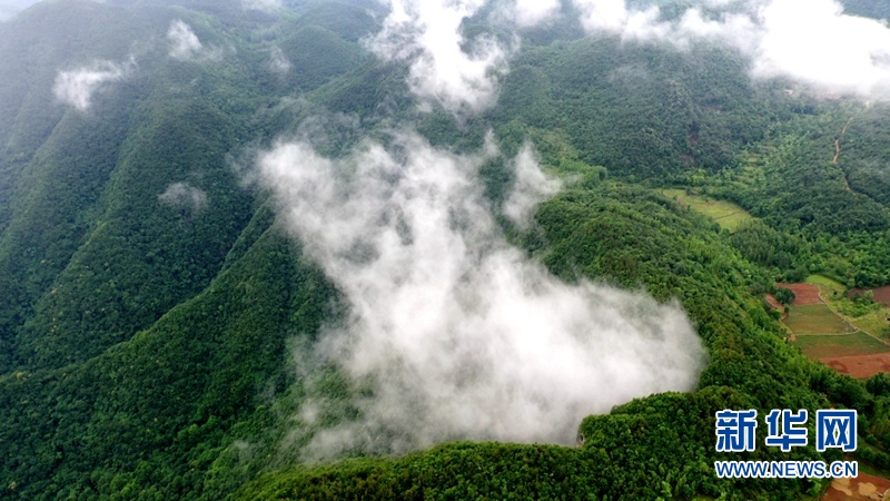 湖北漳河大峡谷云海翻腾似仙境