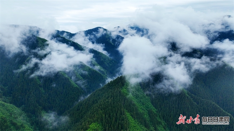 【焦点图】兰州：群山逶迤 云海苍茫 雨后兴隆山如仙境_fororder_5