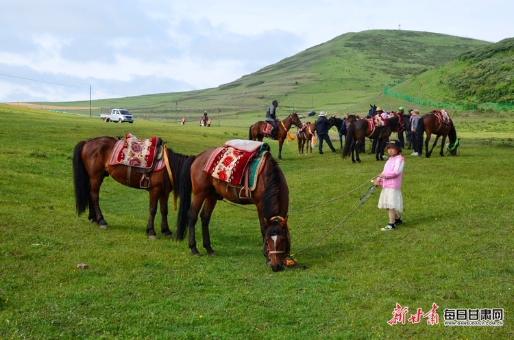 【大美甘肃】定西岷县：骏马驰骋狼渡滩 草原盛会迎客来_fororder_8