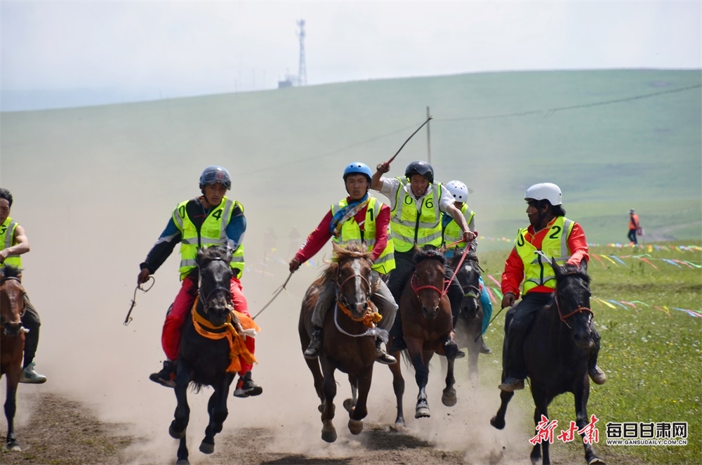 【大美甘肃】定西岷县：骏马驰骋狼渡滩 草原盛会迎客来_fororder_3