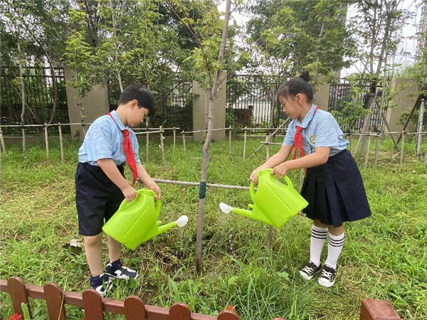 沈阳市勋望小学建农分校：红枫树下添心意 荫荫处处育栋梁_fororder_枫树3