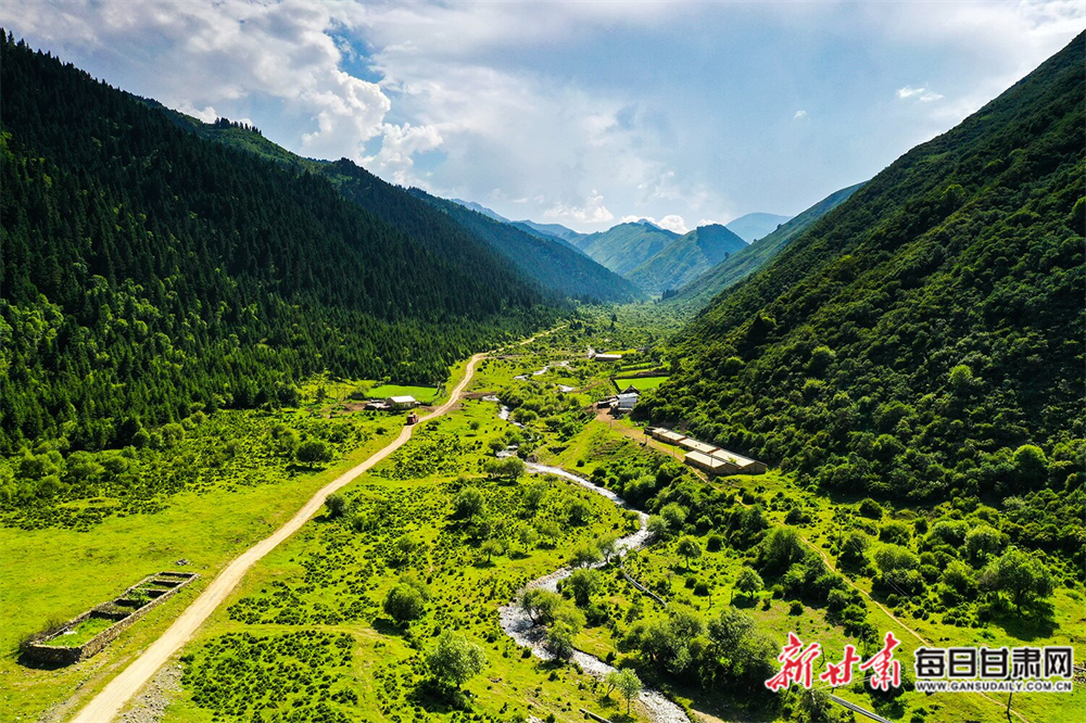 【焦点图】层层山峦竞秀色 茫茫林海翻碧浪 卓尼大峪沟比画还美_fororder_2