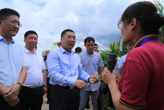 （供稿）全国大豆油料生产暨带状复合种植培训会在贵州福泉举行_fororder_ceb1b020d0571244da976acacbf0ade