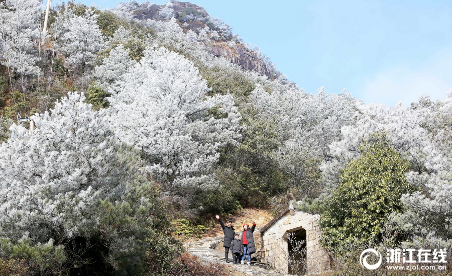 瑞安金鸡山现“雾凇”