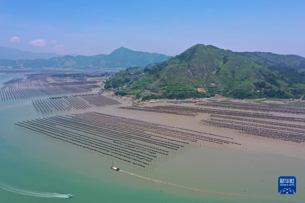 福建霞浦：用好海洋资源 激活发展新动力