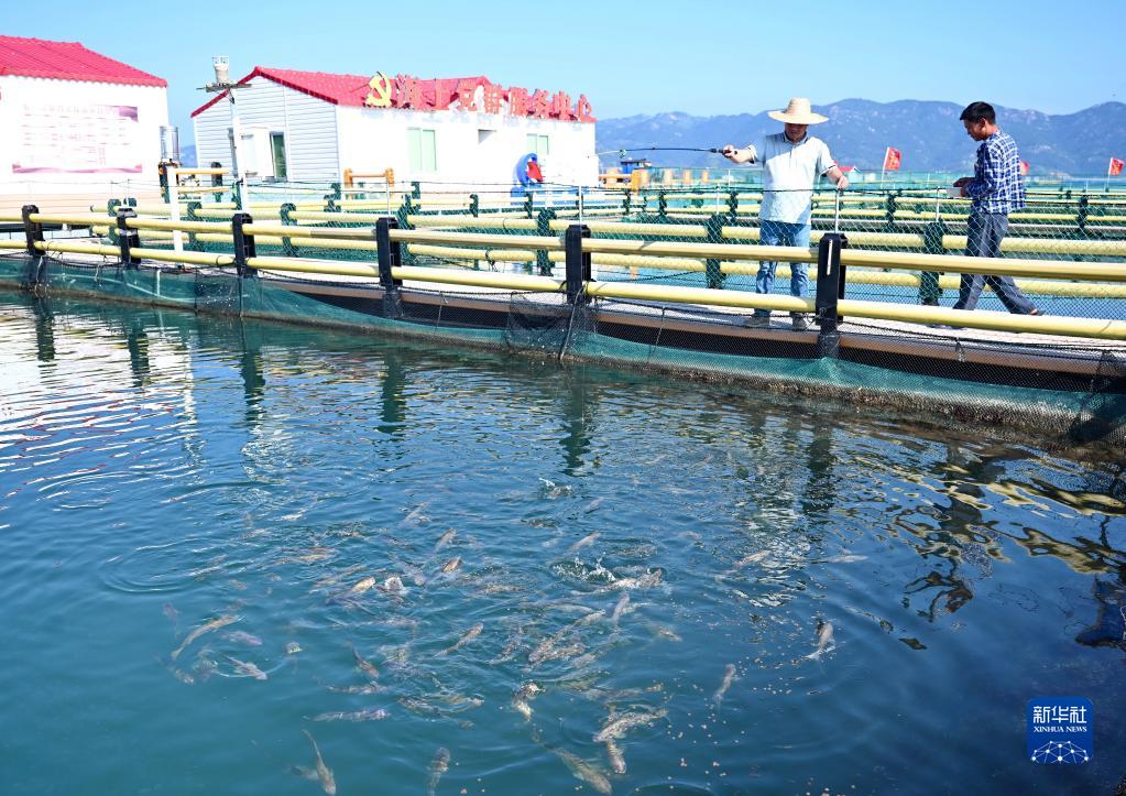 福建霞浦：用好海洋资源 激活发展新动力