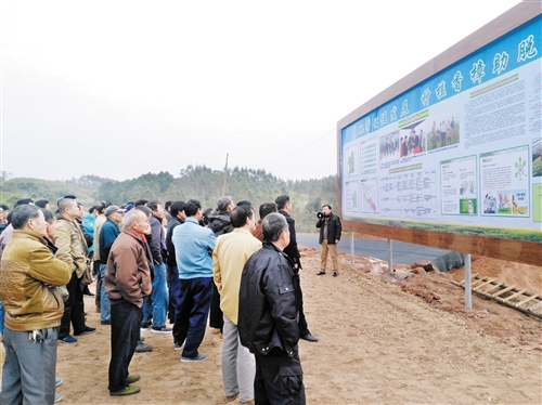 【园区建设-图文】发展产业富民　推进乡村振兴  ——邕宁区打出产业发展组合牌拓宽富民道路（头图在文末）