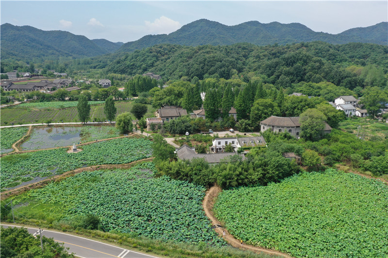 信阳平桥：郝堂荷花开 带热乡村游_fororder_郝堂百亩荷塘全景  郝光摄