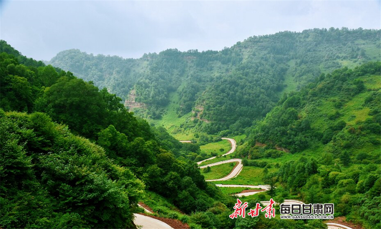 【焦点图】夏日 在华亭关山坐看云起静听松涛_fororder_2