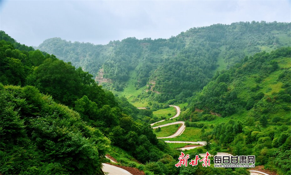 【焦点图】夏日 在华亭关山坐看云起静听松涛_fororder_2