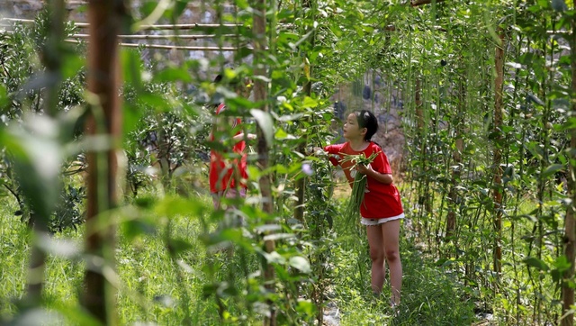 广西：云雾缭绕　宛如仙境