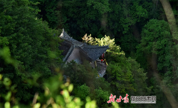 【焦点图】夏日 在华亭关山坐看云起静听松涛_fororder_1