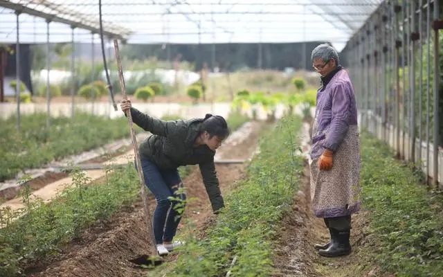 云南“网红达人”自主创业为家乡添砖加瓦