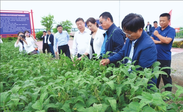 黑河农业绿色发展示范区建设获点赞