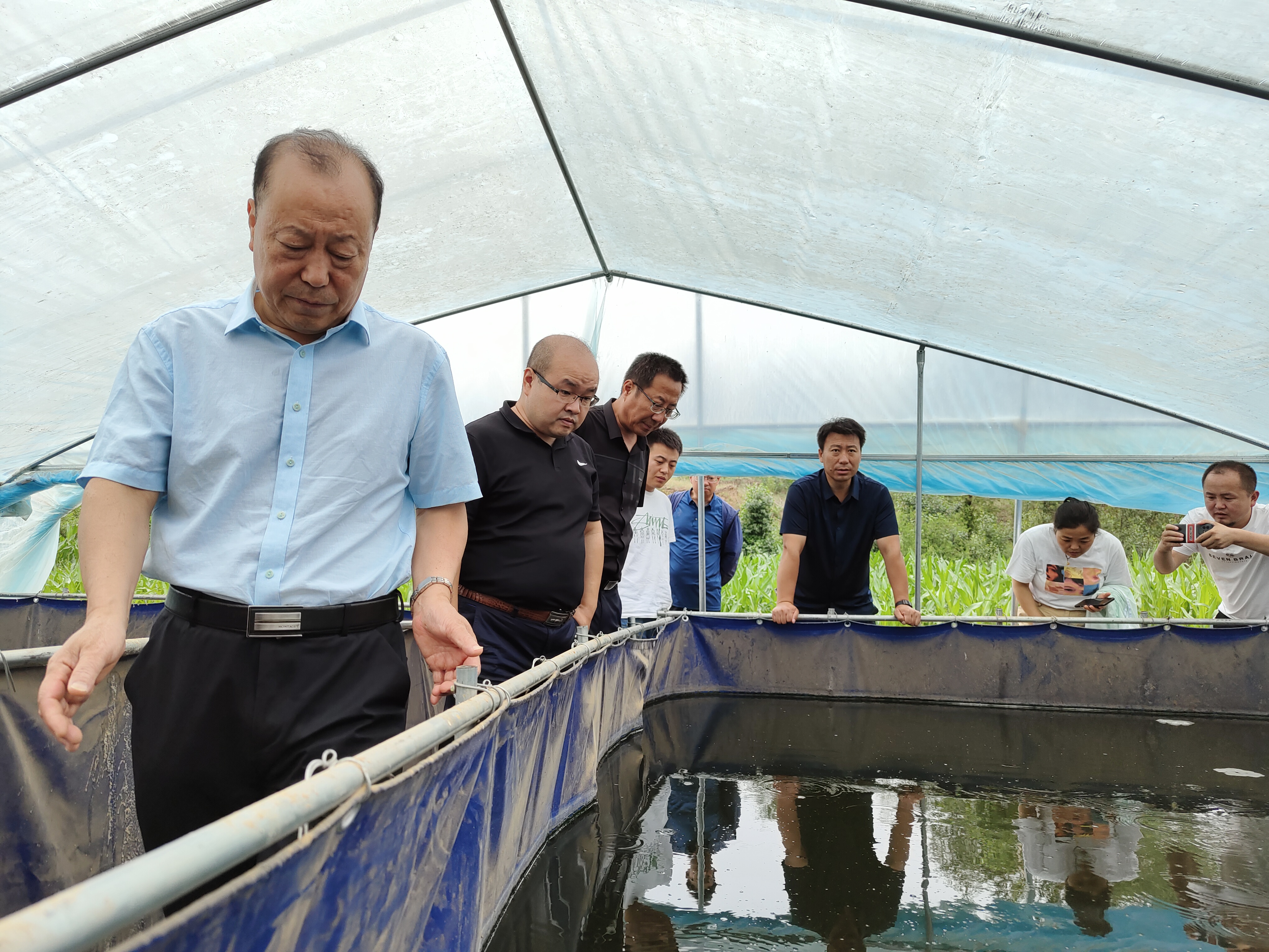 省水产研究与工作总站副站长王华一行来榆林市横山区调研农旅融合发展基础_fororder_二道峁鱼种厂泥鳅培育基地