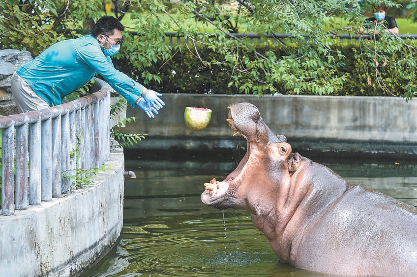 三伏天北京动物园开启防暑降温模式