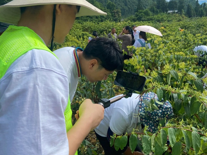 高校暑期实践队直播助力乡村旅游