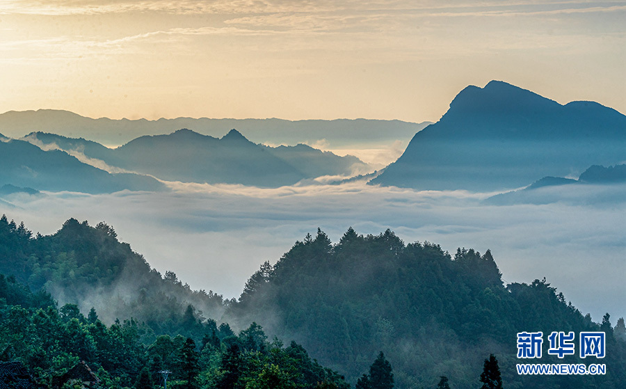 重庆：走进夏日金佛山 赏喀斯特云雾风光