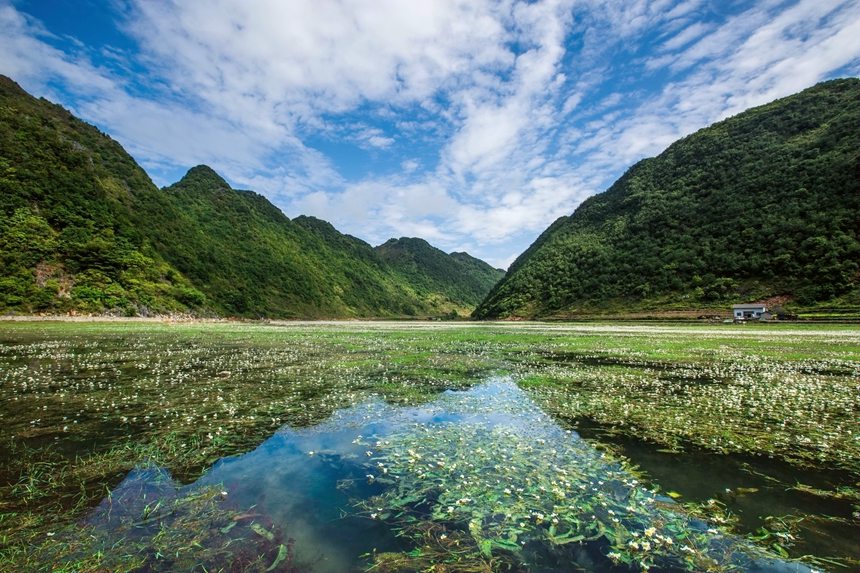 广西西林：湖草两相宜 醉美盆歪湖