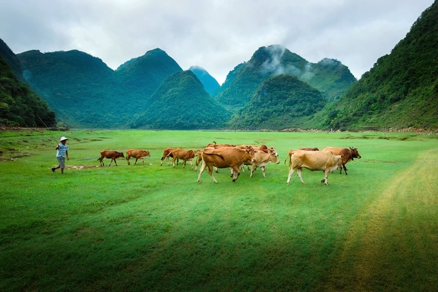 广西西林：湖草两相宜 醉美盆歪湖