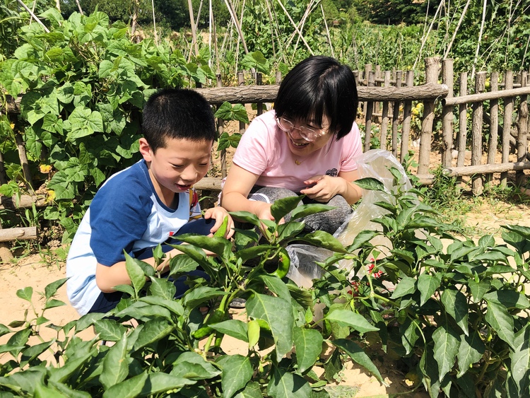 （上一篇失效，重新上传，已改）“留得下干得好愿意来”  延安市宝塔区河庄坪镇阔步走在乡村振兴的大道上