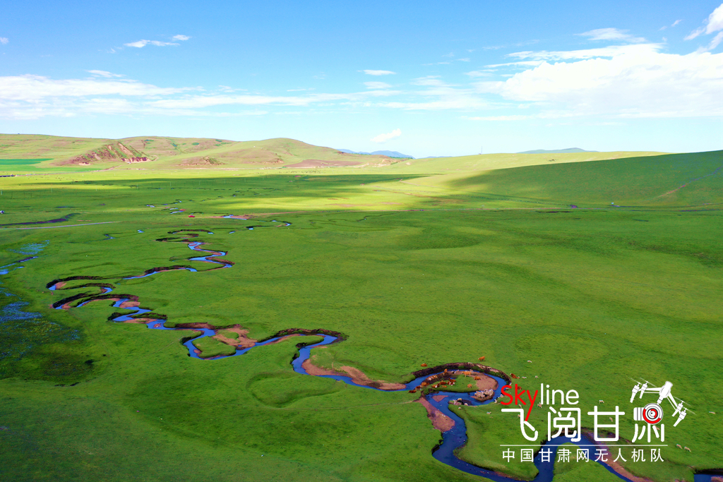 【焦点轮播图】【飞阅甘肃】盛夏狼渡滩 藏在定西岷县的草原秘境_fororder_2