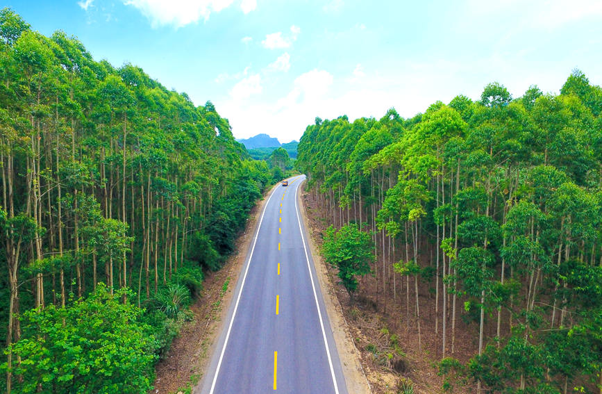 广西：建设 “壮美公路” 助力乡村振兴