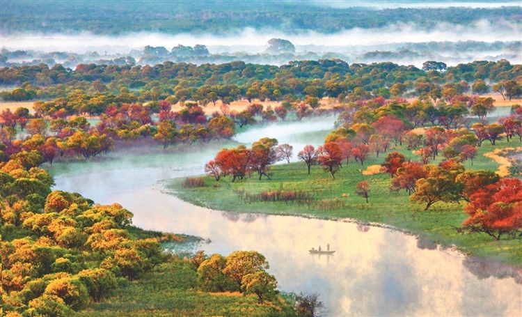 多彩双鸭山全域旅游百花开