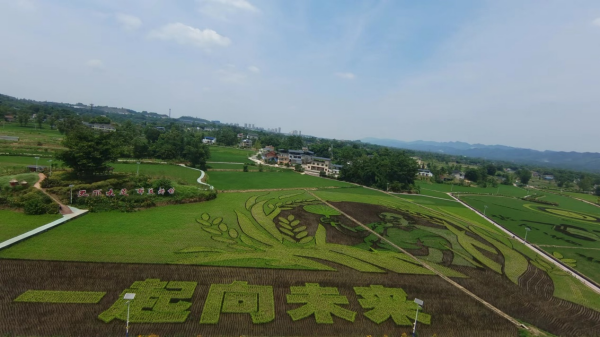 【在希望的田野上】重庆大足：隆平五彩田园绘就“文旅融合”新画卷_fororder_5