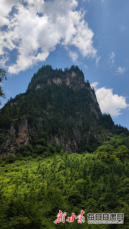 陇南宕昌：飞瀑流泉处处景 避暑纳凉官鹅行_fororder_3