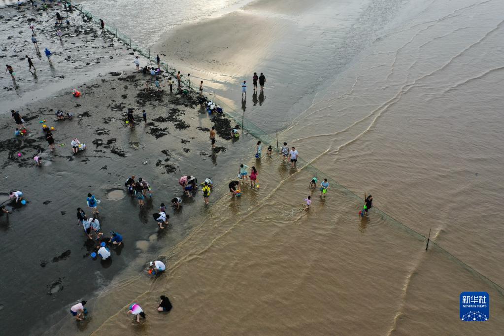 江苏启东：江风海韵引客来