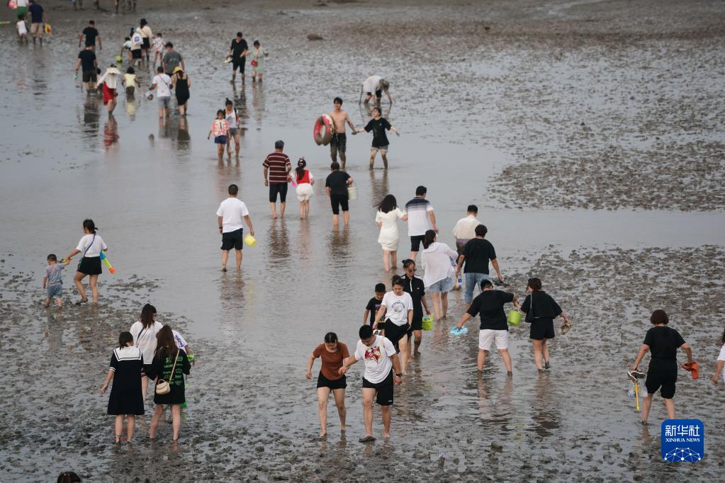 江苏启东：江风海韵引客来