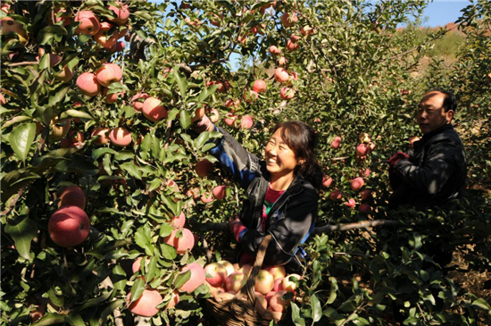 El pueblo de Sandaogou en Huludao promueve el turismo rural característico para aumentar los ingresos de los aldeanos y fomentar el aumento de riqueza_fororder_图片1