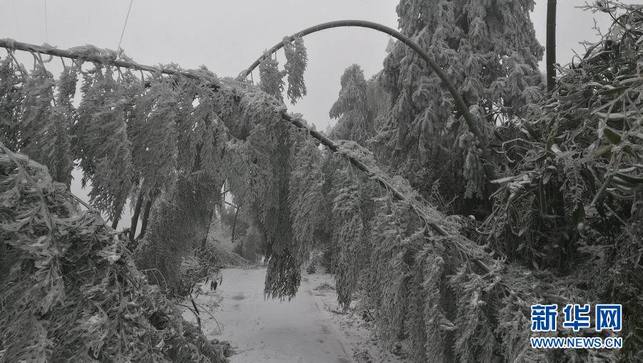 【焦点图】穿越“冰雪竹帘洞” 踏冰雪去巡线