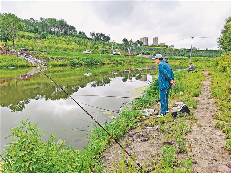 鹤岗市：弃管沟塘变身“桃花源”