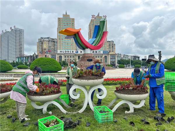 葫芦岛：扮靓城市广场园林_fororder_葫芦岛到扮靓