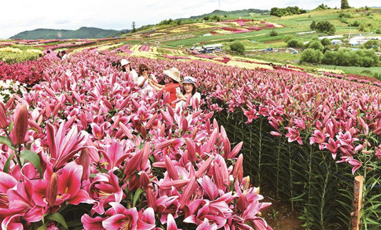 吉林省白山市：无边景色入画来_fororder_露水河畔赏花海 王春宝 摄